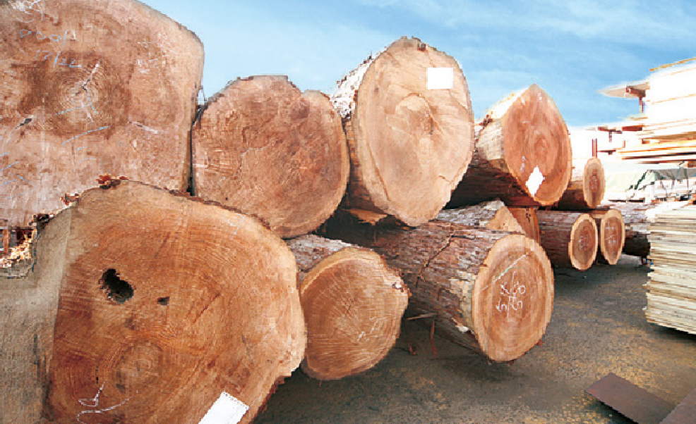 コストを抑えた家づくり